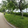 40. Volkslauf "Rund um Bornheim mit Kind und Kegel" 2019